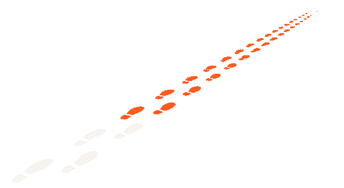 A few white footprints, then a trail of orange footprints running far into the distance